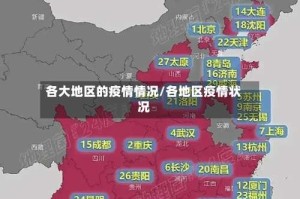 各大地区的疫情情况/各地区疫情状况