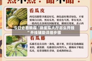 今日必看教程“新蜜瓜大厅怎么开挂”开挂辅助详细步骤