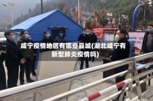 咸宁疫情地区有哪些县城(湖北咸宁有新型肺炎疫情吗)