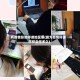有疫情影响停课地区嘛(因为疫情停课学校会停多久)