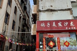 洛阳疫情.洛阳疫情是哪一年开始的