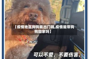 【疫情地区狗狗能出门吗,疫情能带狗狗回家吗】