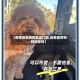 【疫情地区狗狗能出门吗,疫情能带狗狗回家吗】