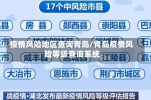 疫情风险地区查询青岛/青岛疫情风险等级查询系统