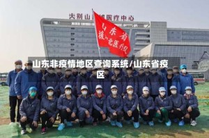 山东非疫情地区查询系统/山东省疫区