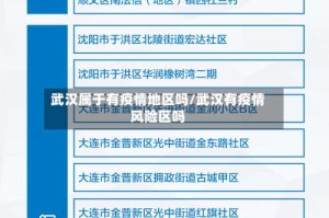 武汉属于有疫情地区吗/武汉有疫情风险区吗