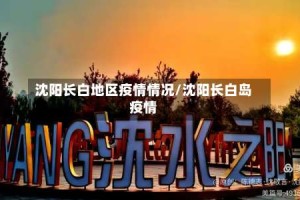 沈阳长白地区疫情情况/沈阳长白岛疫情