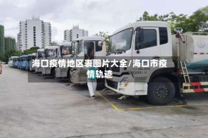 海口疫情地区表图片大全/海口市疫情轨迹