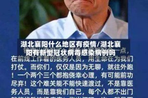 湖北襄阳什么地区有疫情/湖北襄阳有新型冠状病毒感染病例吗