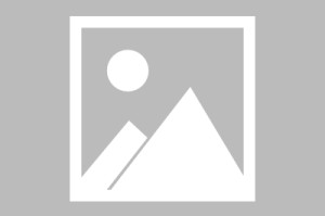 整个阿里地区疫情统计(阿里疫情防控大数据平台)