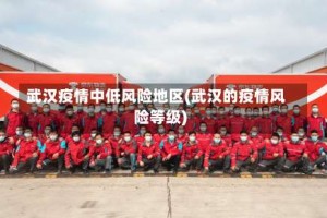 武汉疫情中低风险地区(武汉的疫情风险等级)