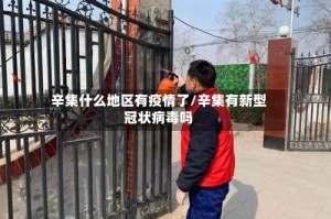 辛集什么地区有疫情了/辛集有新型冠状病毒吗