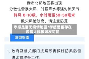 孝感是否无疫情地区/孝感是否存在疫情大规模爆发可能
