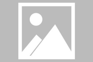 31省区市新增本土确诊75例.31省区市新增确诊81例 本土61例