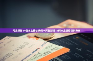 「31省新增本土确诊29例」〃31省新增25例确诊 其中本土9例