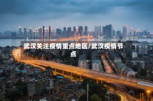 武汉关注疫情重点地区/武汉疫情节点