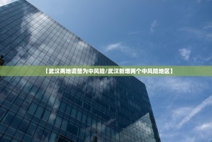 【武汉两地调整为中风险／武汉新增两个中风险地区】