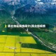 西北地区疫情简介(西北部疫情)