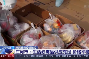“辽宁庄河疫情最新情况” 辽宁庄河疫情最新情况最新消息？