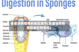 全国没有疫情的地区城市(全国没有疫情的省份有哪些)