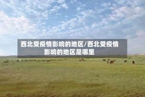 西北受疫情影响的地区/西北受疫情影响的地区是哪里