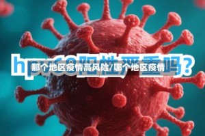 那个地区疫情高风险/哪个地区疫情