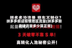 拼多多新店疫情地区流量(拼多多新店铺流量多少算正常)