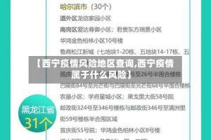 【西宁疫情风险地区查询,西宁疫情属于什么风险】