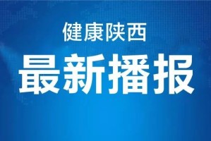 包含陕西新增2例在哪里的词条