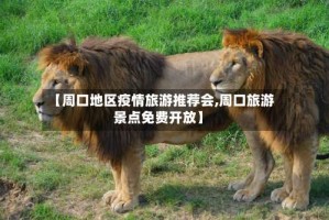 【周口地区疫情旅游推荐会,周口旅游景点免费开放】