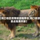 【周口地区疫情旅游推荐会,周口旅游景点免费开放】