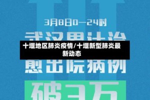 十堰地区肺炎疫情/十堰新型肺炎最新动态