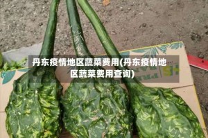 丹东疫情地区蔬菜费用(丹东疫情地区蔬菜费用查询)