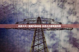 ...16时30分起大兴区北臧村镇八家村全域划定为高风险区
