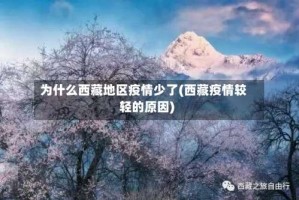 为什么西藏地区疫情少了(西藏疫情较轻的原因)