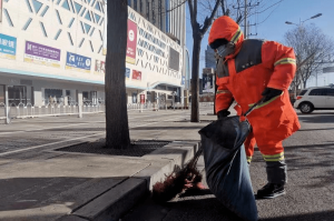 河北现有确诊118例,这些病例具体分布在哪些城市？