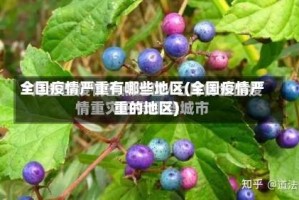 全国疫情严重有哪些地区(全国疫情严重的地区)