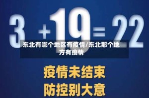 东北有哪个地区有疫情/东北那个地方有疫情