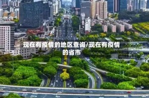 现在有疫情的地区查询/现在有疫情的省市