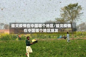 蝗灾疫情在中国哪个地区/蝗灾疫情在中国哪个地区爆发