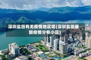深圳盐田有无疫情地区呢(深圳盐田最新疫情分布小区)