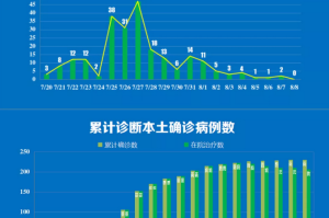 河南最新的疫情,河南最新的疫情消息