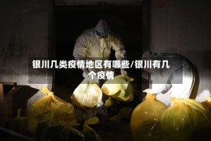 银川几类疫情地区有哪些/银川有几个疫情