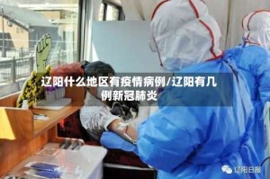 辽阳什么地区有疫情病例/辽阳有几例新冠肺炎