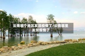 云南哪个地区发现疫情了/云南哪里发现疫情了