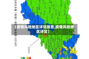 【疫情风险地区评估报告,疫情风险地区评定】