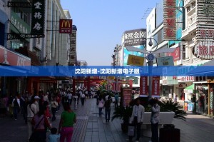 沈阳新增地铁八号线与九号线东延线建设规划,取消k1k2快线和2号线支线...