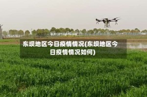 东坝地区今日疫情情况(东坝地区今日疫情情况如何)