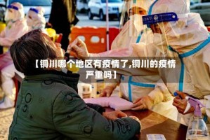 【铜川哪个地区有疫情了,铜川的疫情严重吗】