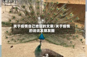 关于疫情自己地区的文案/关于疫情的说说发朋友圈
